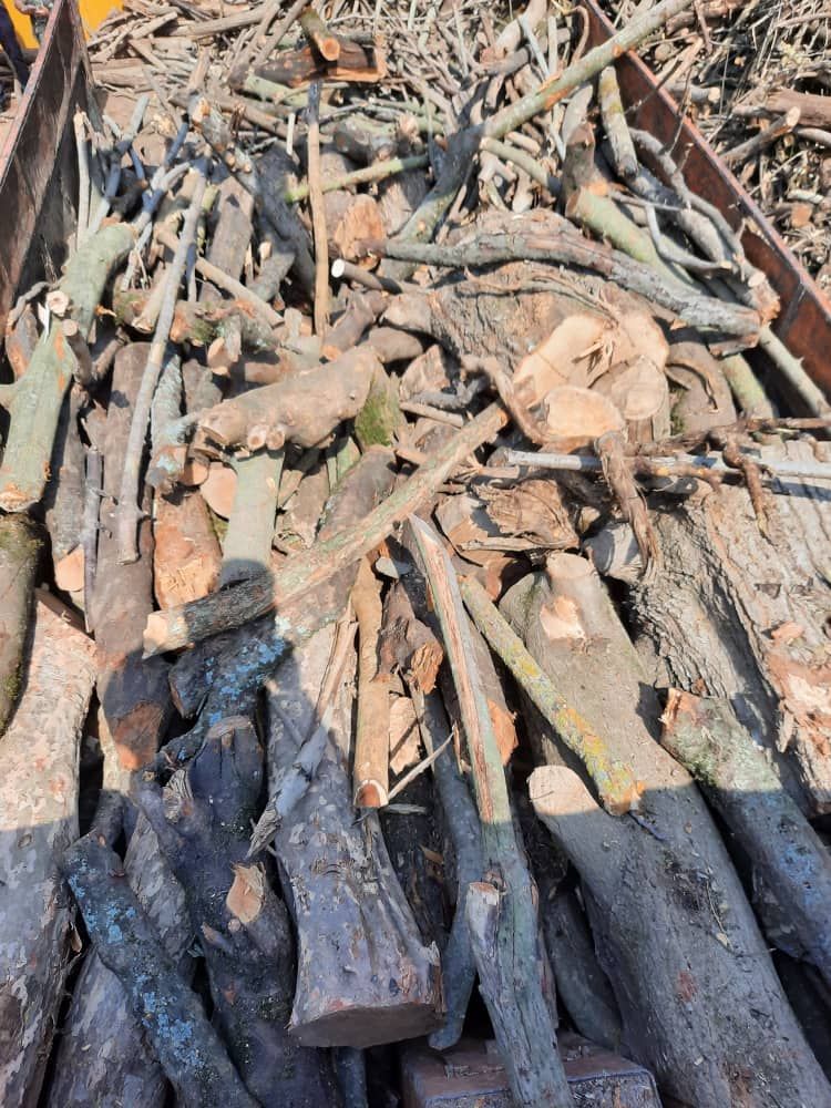 کشف و ضبط ۲۰تن چوب قاچاق در سوادکوه شمالی