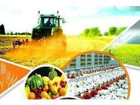 جذب ۳۰۰ میلیارد تسهیلات کشاورزی در سوادکوه شمالی